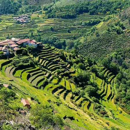 Recanto Do Lameiro Monção