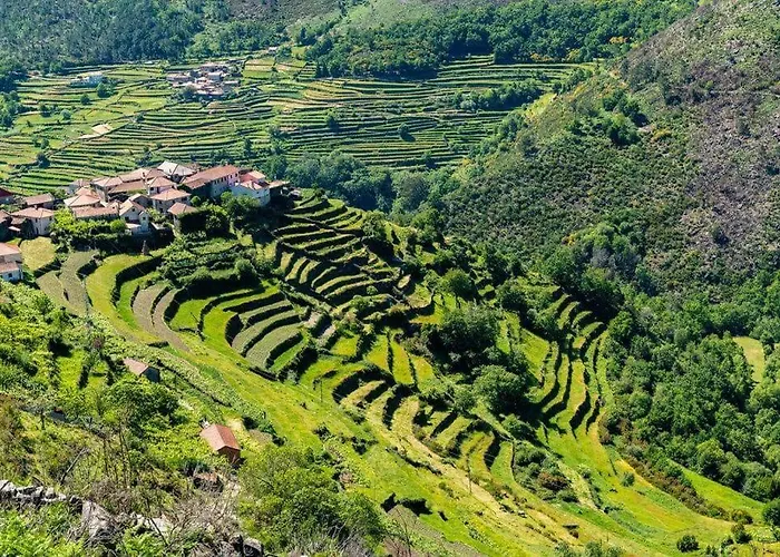 Recanto Do Lameiro Монсан